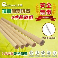 現貨立即出【OZAWA大澤】蘆葦吸管6件組 環保餐具/便當盒/紙吸管/玻璃吸管/不銹鋼吸管/修補膏