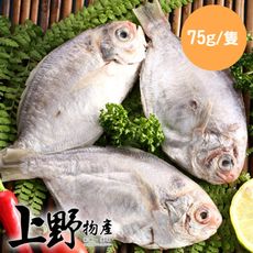 現貨!立即出 【上野物產】越南野生肉魚