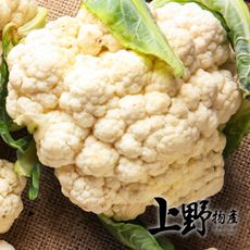 【上野物產】冷凍新鮮花椰菜(500g±10%/包)