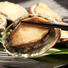 【上野物產】帶殼鮑魚 (1000g/包約20顆) - 1000g/包