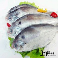 【上野物產】銀皮嫩肉 越南進口野生肉鯽魚(75g±10%/隻)