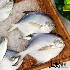【上野物產】南海小漁村 可煎可炸刺少肉鯽魚(75g±10%/隻)
