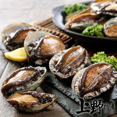 現貨!立即出 【上野物產】厚實鮮嫩帶殼鮑魚（1000g土10%/約20顆/盒）