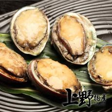 現貨、立即出【上野物產】厚實肥美帶殼鮑魚