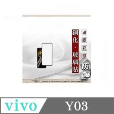 螢幕保護貼 VIVO Y100 2.5D滿版滿膠 彩框鋼化玻璃保護貼 9H 螢幕保護貼【愛瘋潮】