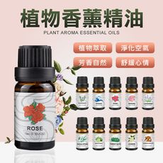 買10送1 水溶性 天然香燻精油 10ml 香燻機 精油 保濕機 噴霧 精油