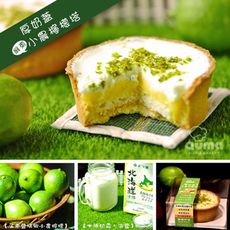 【奧瑪烘焙】厚奶蓋小農檸檬塔(1個/盒)