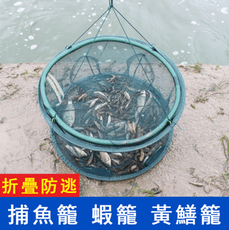 魚籠魚網蝦籠可折疊方便攜帶抓魚籠折疊漁網捕魚網龍蝦網捕蝦籠撲魚手拋網小魚