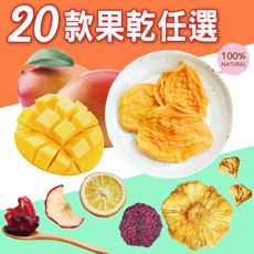 【春好物大包系列】好吃健康水果乾(20款)