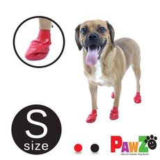 美國PAWZ天然橡膠腳套12入(S)
