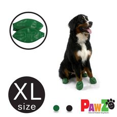 美國PAWZ天然橡膠腳套12入(XL)