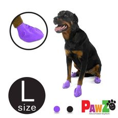 美國PAWZ天然橡膠腳套12入(L)