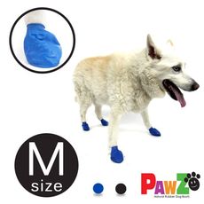 美國PAWZ天然橡膠腳套12入(M)