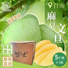 預購【家購網嚴選】台南麻豆文旦 5斤(3~5粒/箱) 8/25後開始出貨