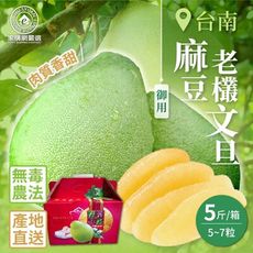 預購【家購網嚴選】台南麻豆御用老欉文旦 5斤(5~7粒/箱) 8/25後開始出貨