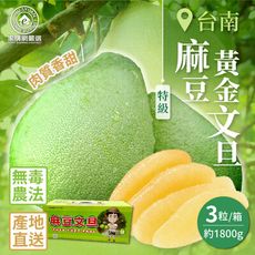 預購【家購網嚴選】台南麻豆特級黃金文旦3粒小禮盒(1800g/盒) 8/25後開始出貨