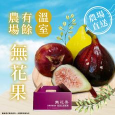 【家購網嚴選】雲林有餘農場-無毒三色無花果1斤禮盒(約9~11顆)