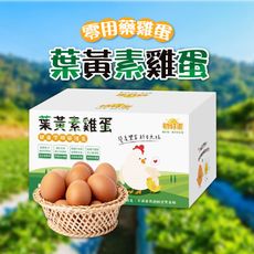 【初好蛋】健康零用藥葉黃素雞蛋（1800g±5%/箱）
