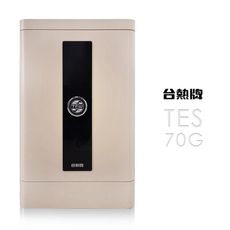 台熱牌 掌靜脈/密碼/鑰匙電子保險箱TES-70G