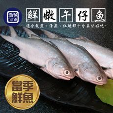 鮮嫩大午仔魚(170-230g/尾)