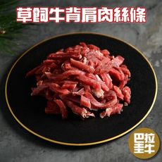 【小嚼士】嚴選牛肉絲 500g 牛背肩 牛肉條 牛肉條 草飼牛 純牛肉 牛肉片 冷凍肉品 肉片