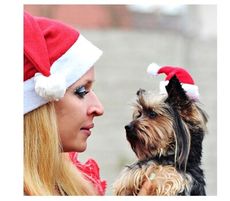 寵物聖誕帽狗狗小帽子新款聖誕節裝飾品高檔毛絨帽寵物帽搞怪表演