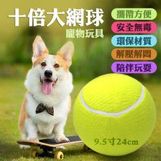 9.5寸充氣大網球寵物玩具球