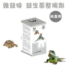 【維益特 WEIYITER】 爬蟲用益生菌整腸劑 300g