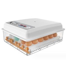 110V孵化機【12小時出貨/保固兩年】36枚雙電源可接12V自動控溫 全自動家用型小雞孵化器孵蛋機