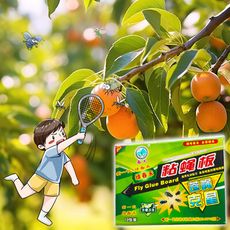 【黏蠅板】裸裝1入 超年捕蠅紙 抓蒼蠅板 黏蠅紙 蒼蠅紙 黏蒼蠅板 捕蠅板 黏蟲板