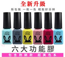 【CHE GEL功能膠 6ml】全新升級 底膠 加固膠 免除膠封層 磨砂封層膠 手感磨砂封 C2-2