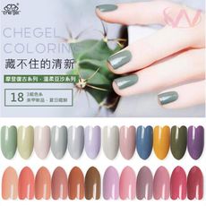 【CHE GEL 摩登復古色系】MD ZW RB 若夏紫薇色系 小清心復古光撩指甲油膠  C2-34