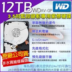 【KingNet帝網】 WD 紫標 12TB 監控硬碟 監控碟 SATA 穩定耐用 3.5吋