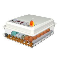 [南波One] 36枚款『全自動保溫孵化機』一機多用 不挑蛋種  110V 雙電源 可當保溫箱