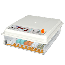 [南波One] 64枚款『全自動保溫孵化機』一機多用 不挑蛋種  110V 雙電源 可當保溫箱