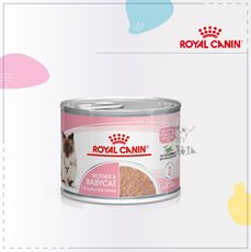 【ROYAL CANIN 皇家】主食 濕糧 貓罐頭 195g 幼貓 保健 離乳貓 母貓 奧地利