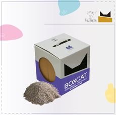 【BOXCAT國際貓家】紫標威力奈米銀除臭小球砂，12L(單盒)