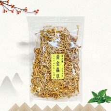 黃金蟲草(100g/包)/烹飪/料理/食材