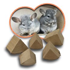 LIXIT寵物用品鼠兔類囓齒磨牙潔牙木塊