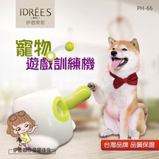 抖音同款 網球發射器【PH-66】貓咪 狗玩具 逗貓玩具 磨牙 玩具球 寵物網球 敏捷訓練
