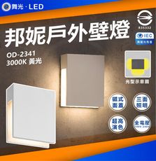 DanceLight 舞光 邦妮壁燈 4W LED 壁燈 內含防水驅動OD-2341 黃光 3000