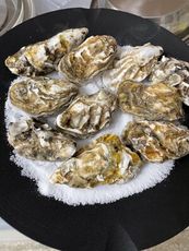 冷凍帶殼生蠔/1入8000G