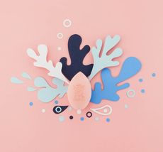 Tommy$Anson玫瑰系列美妝蛋/超柔軟/台灣品牌/台灣設計研發/獨家配方