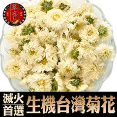 【蔘大王】滅火神器 生機台灣菊花 （50g/入）檢驗良品 非茶包 正宗台灣銅鑼產