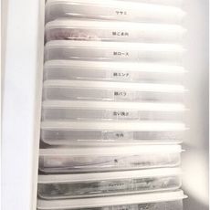 【小白鯨選品集】薄型保鮮盒 扁型保鮮盒 日本製 肉片分裝 肉類冷凍保鮮 分裝盒 寬型保存盒 肉類分裝