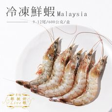 【馬來西亞活凍白蝦】約9-12尾/600公克/盒 產地嚴選 新鮮美味 肉質彈牙 回購率超高