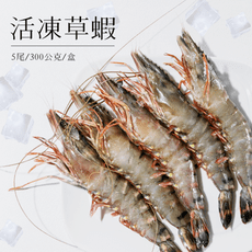 【天然活凍大草蝦】5尾/300公克/盒 新鮮 烤肉 鹽烤 焗烤 高CP 料理