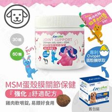 IN-Plus 犬用關節保健 MSM強化舒緩蛋殼膜60顆 嚼錠 狗保健品