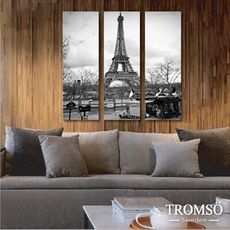 TROMSO 時尚無框畫-W01巴黎風情/鐵塔 艾菲爾 法國 可搭配相框牆 壁貼