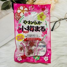 ☆潼漾小舖☆ 日本 一榮 漬梅肉 醃漬梅 55g 個別包裝 紀州產梅使用 甘酸小梅